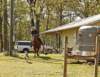 leavingfrontyardforridedoginlead_small.jpg
