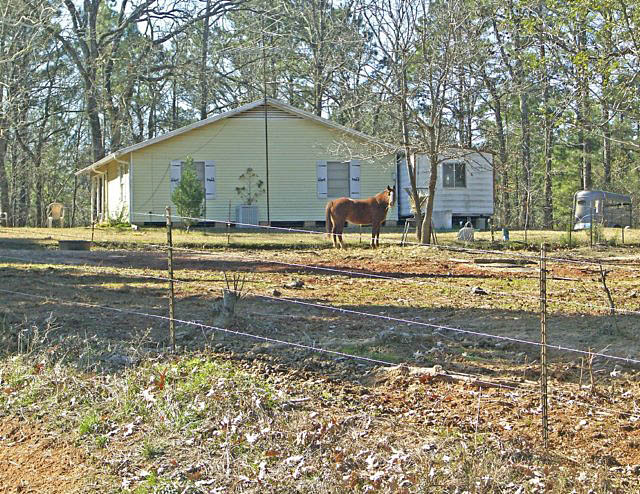 viewfromeastofhouseportablebuildingremovable.jpg