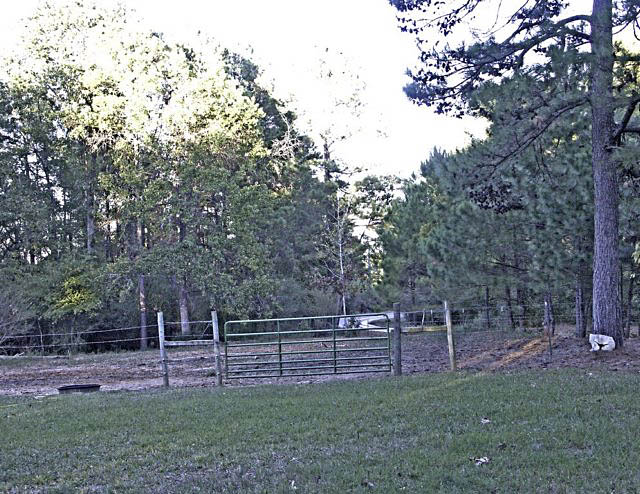 viewfromfrontyarddowntheroad.jpg